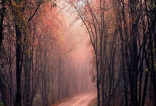 关于哈兰德巅峰对决，萨拉赫与60激战法国队分钟，出色防守胜负难料！的信息